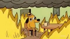 This is fine dog sitting in a burning room